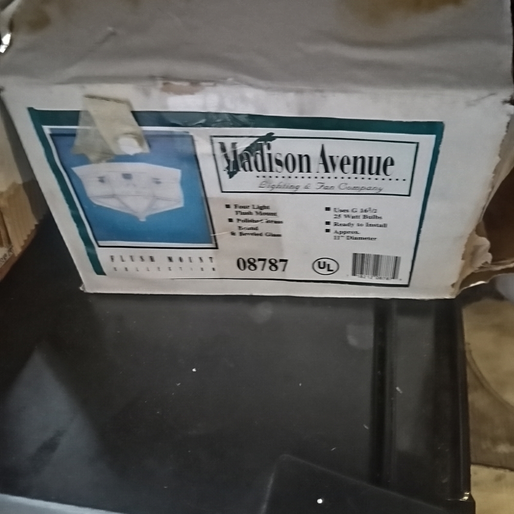 Ceiling Light Fixture - Elegant White